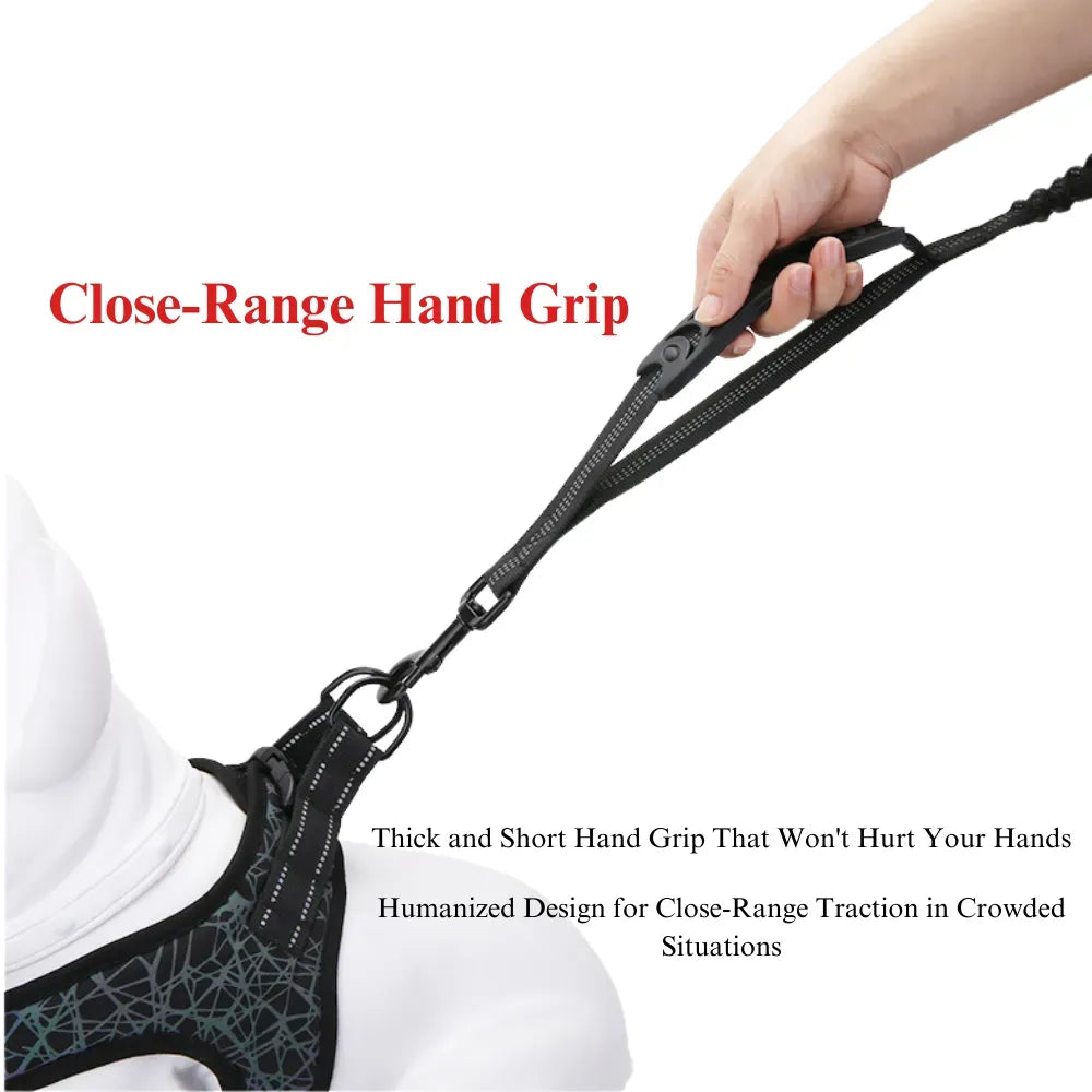 Anti-Pull Elastic Dog Leash with Reflective Design