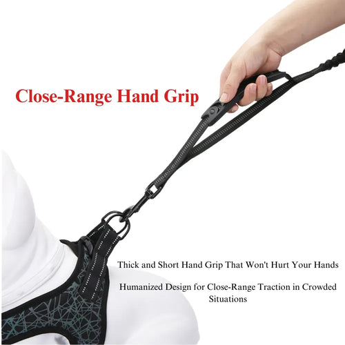 Anti-Pull Elastic Dog Leash with Reflective Design
