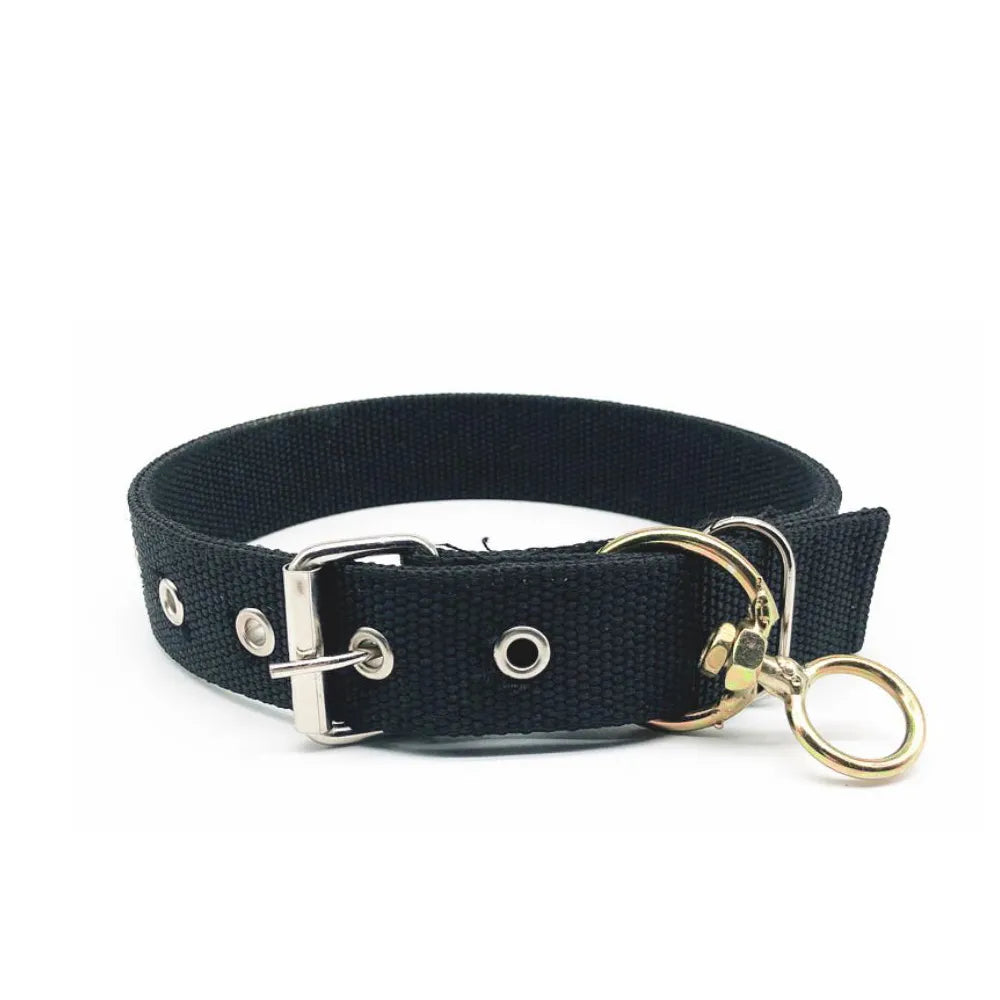 Durable Dog Collar with metal buckle