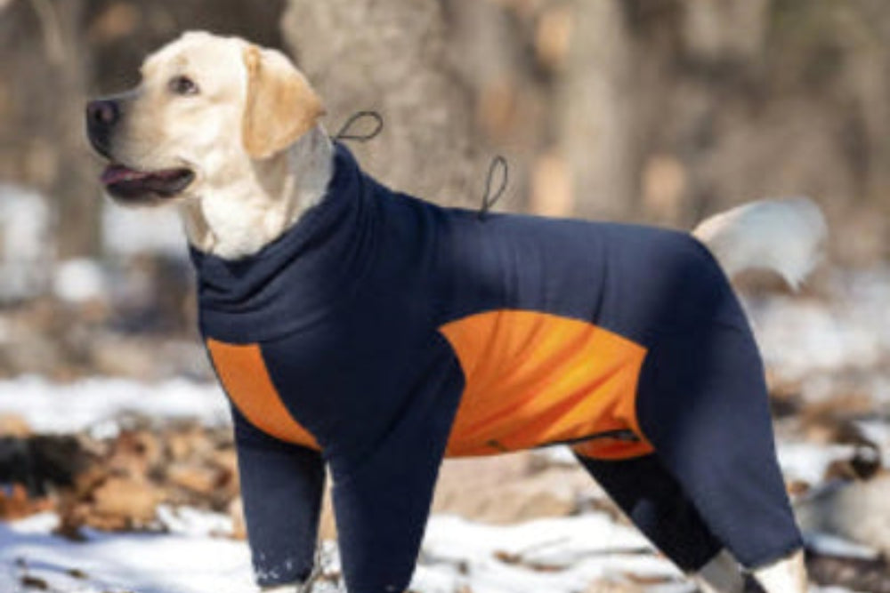 Warm Fleece Dog Jacket with High Collar, Windproof Design & Male Dog Pee Cut, Easy Zip Winter Coat